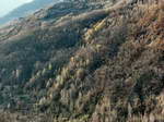 TN_E071117M035.jpg